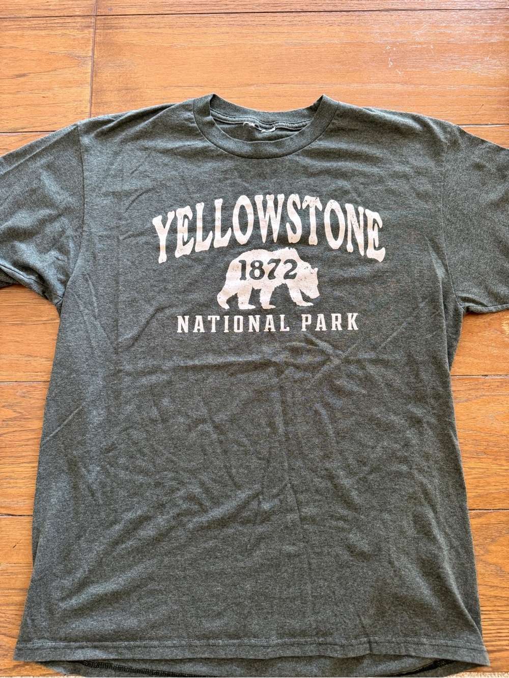 National Geographic Yellowstone 1872 Graphic Tee - Dark Green